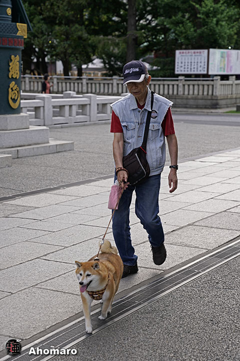 写真00