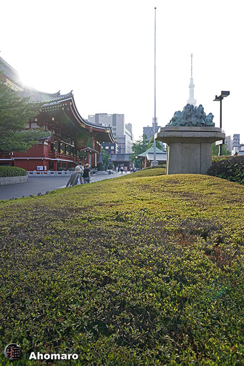 写真00