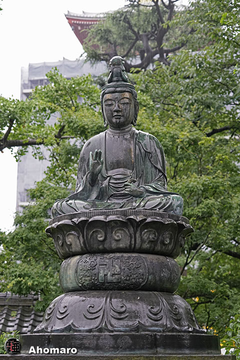 写真00