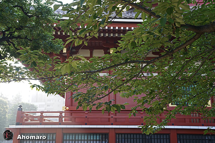 写真00