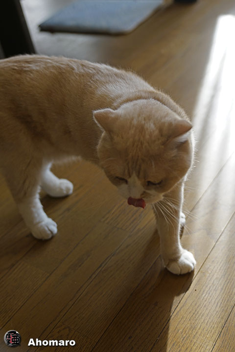 写真00