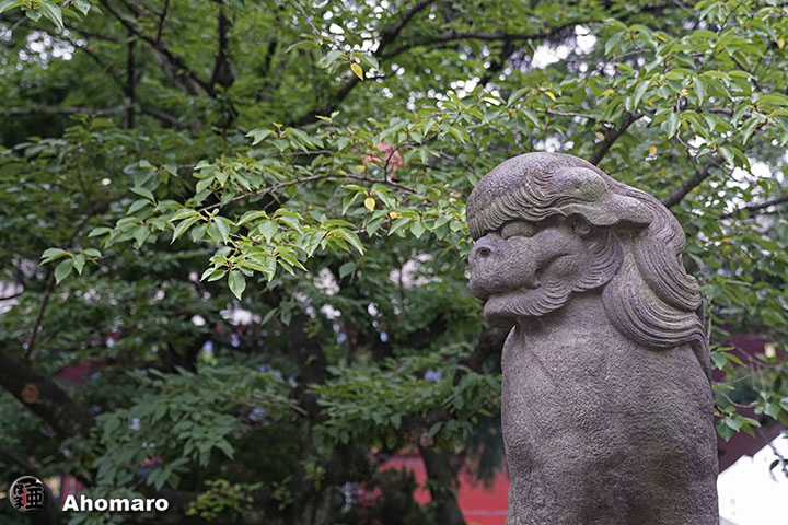 写真00