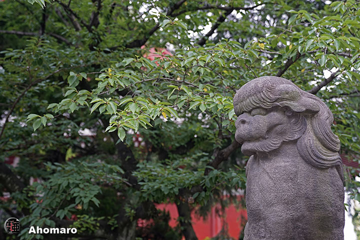 写真00