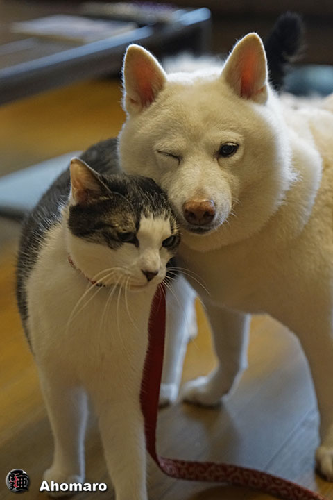 写真00