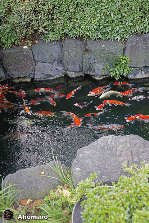 写真00