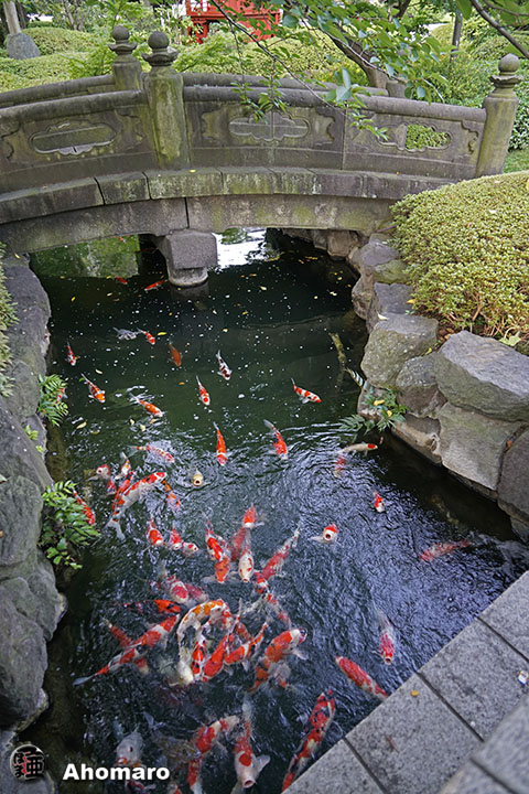 写真00