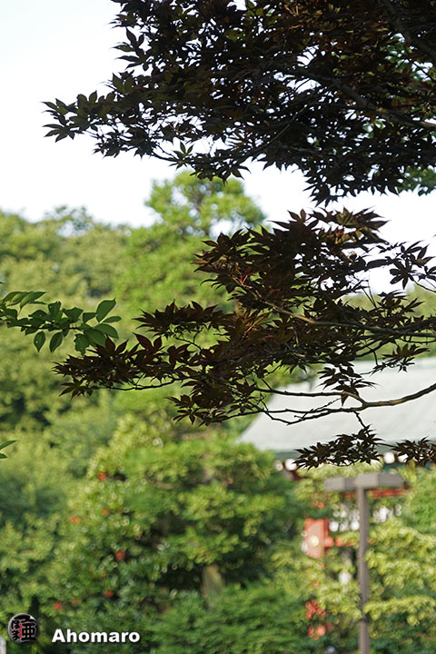 写真00
