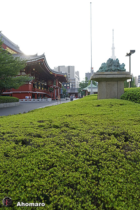 写真00