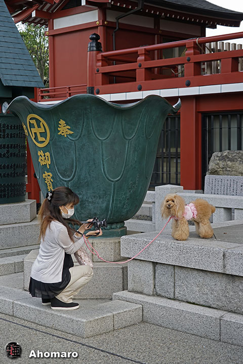 写真00
