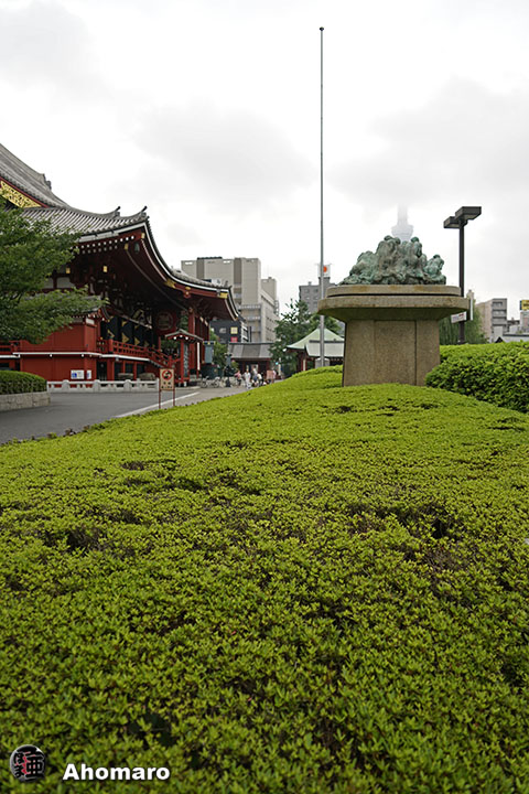 写真00