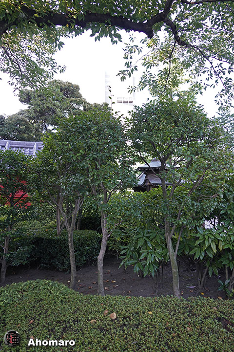 写真00
