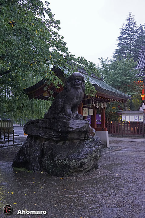 写真00