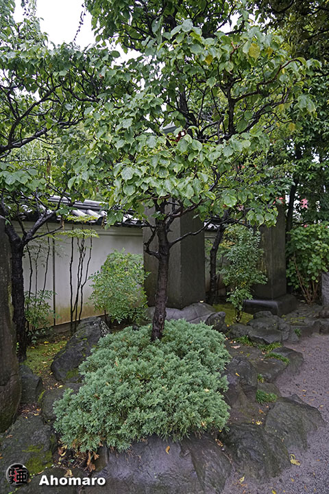 写真00