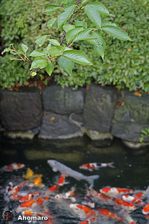 写真00