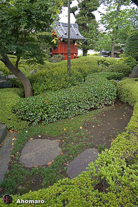写真00