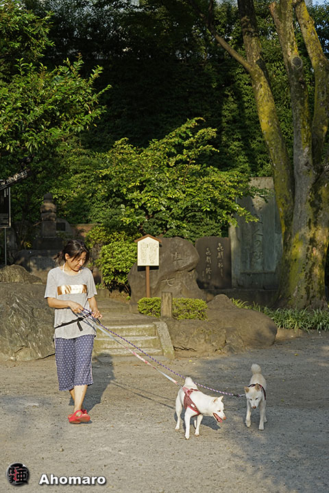 写真00