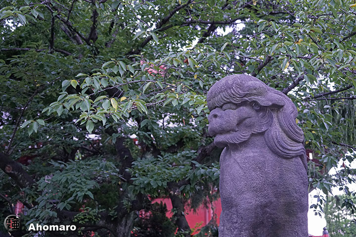 写真00