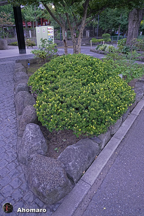 写真00