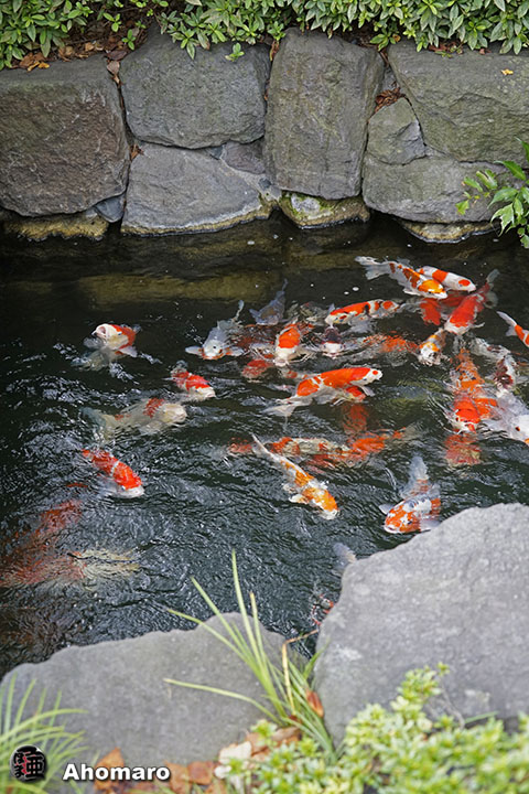 写真00