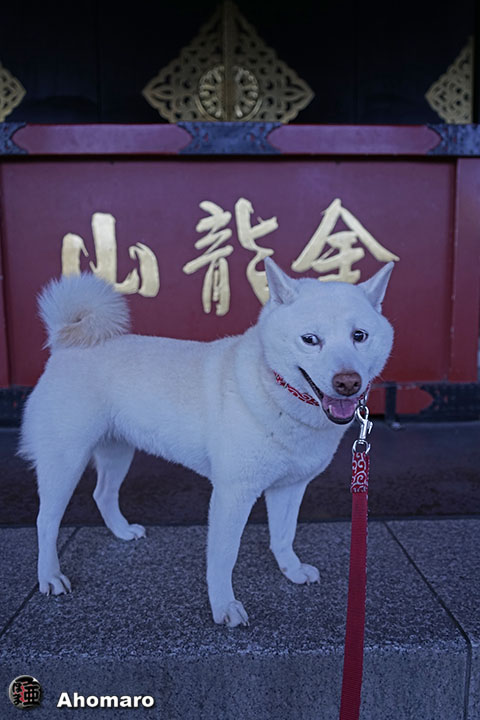 写真00