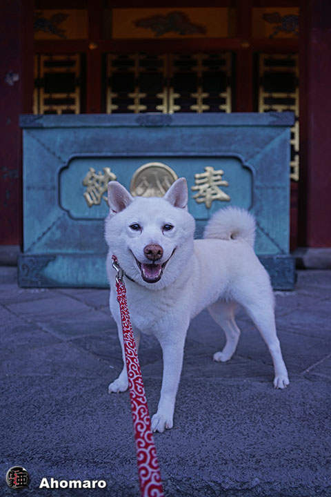 写真00