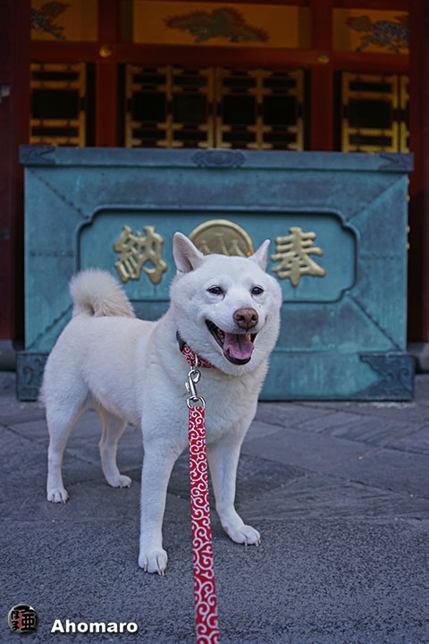 写真00