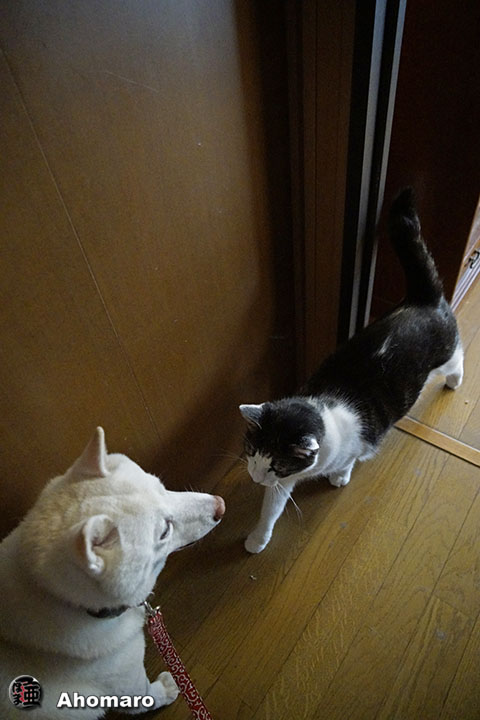 ʐ^00
