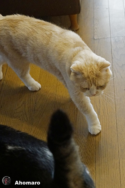 ʐ^00