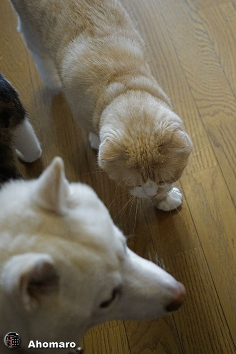 ʐ^00