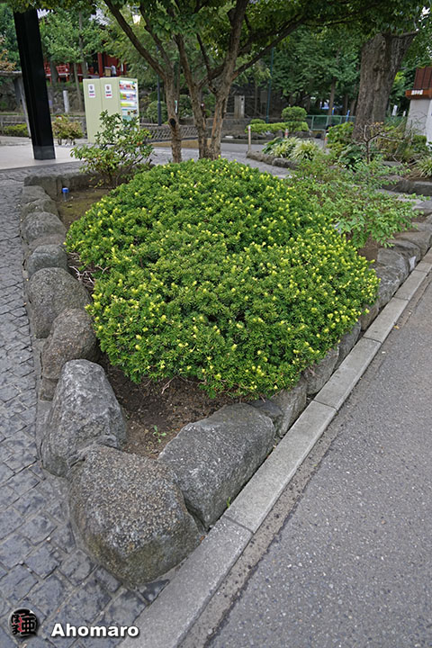 写真00