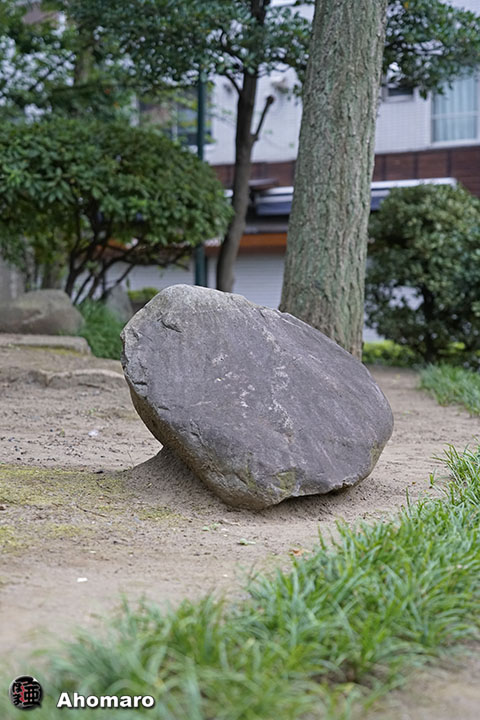 写真00