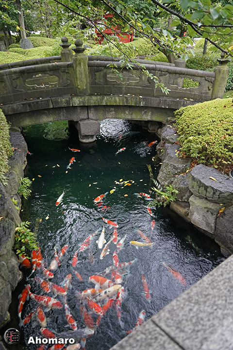 写真00