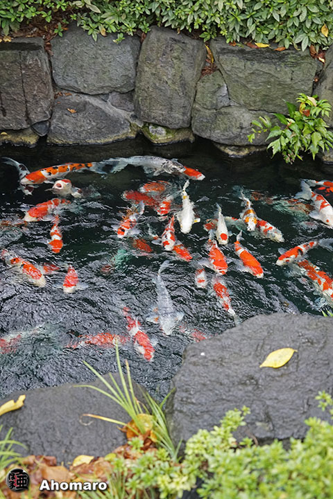 写真00