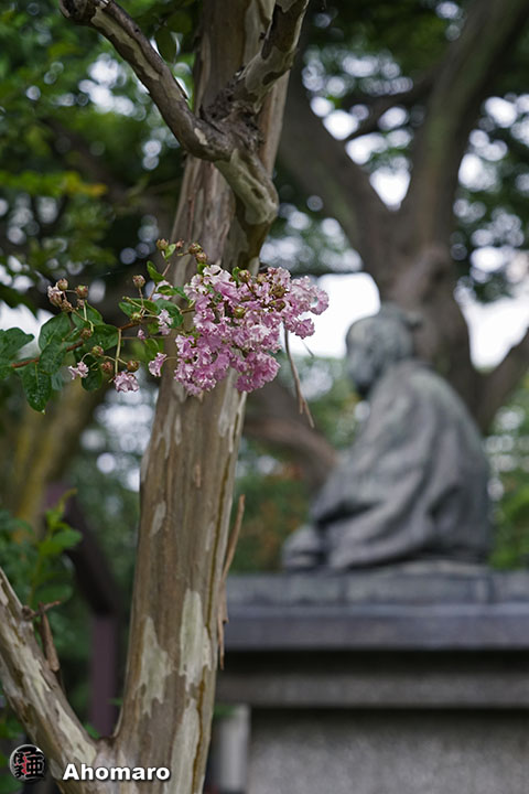 写真00