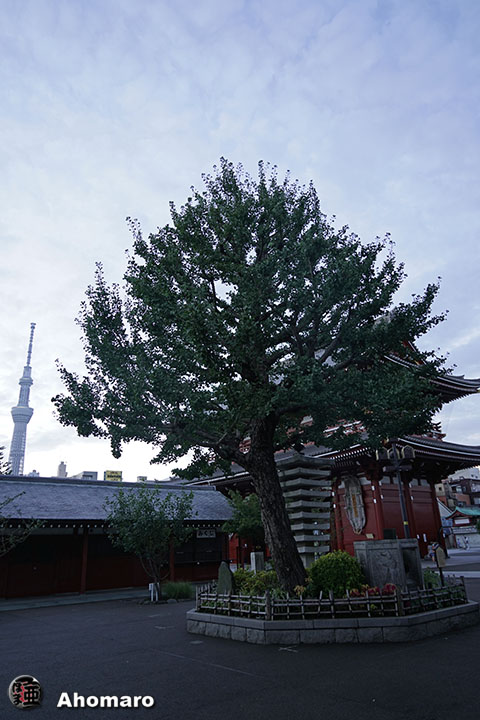 写真00