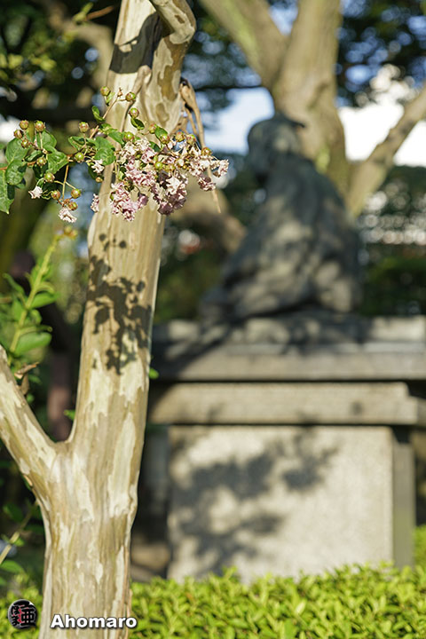 写真00
