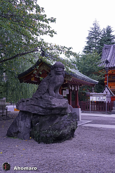 写真00