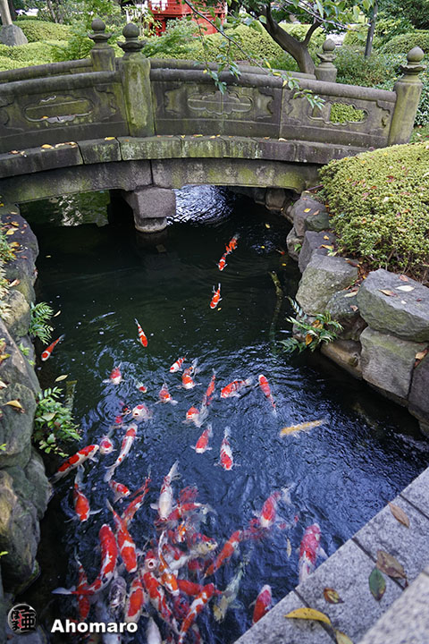 写真00