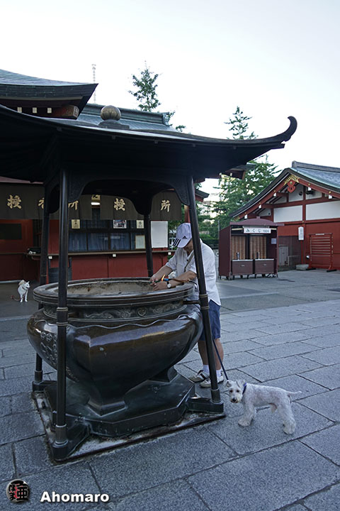 写真00