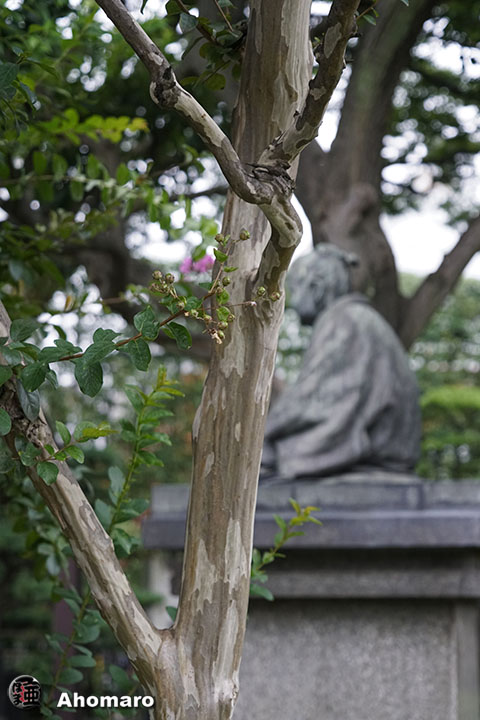 写真00