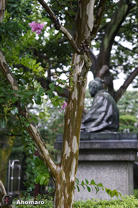 写真00