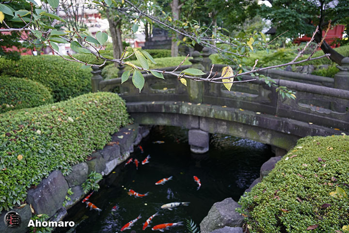 写真00