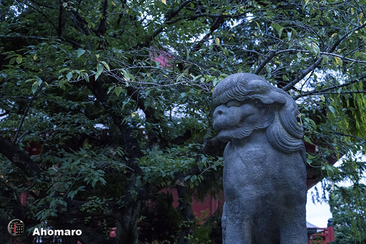 写真00