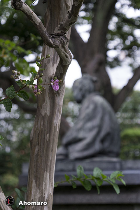 写真00