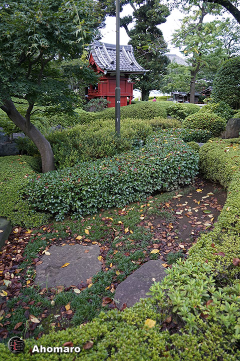 写真00