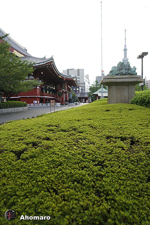 写真00