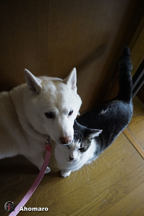 写真00