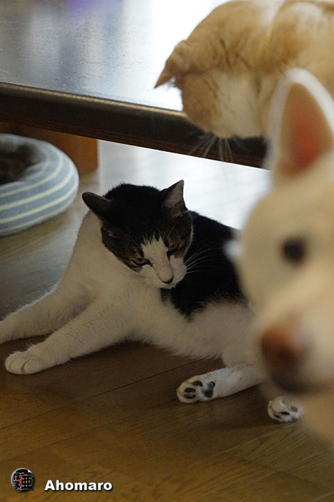 写真00
