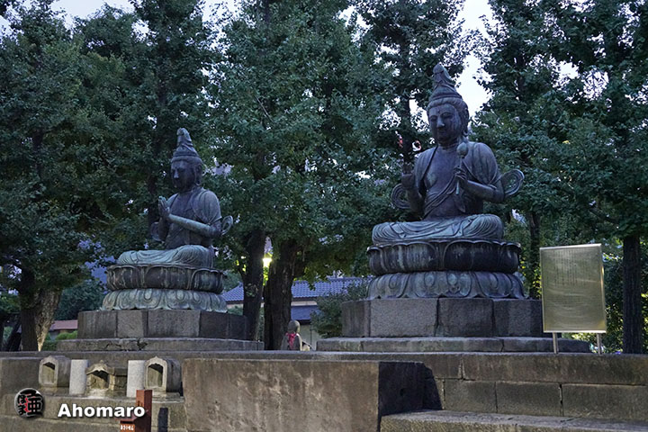 写真00