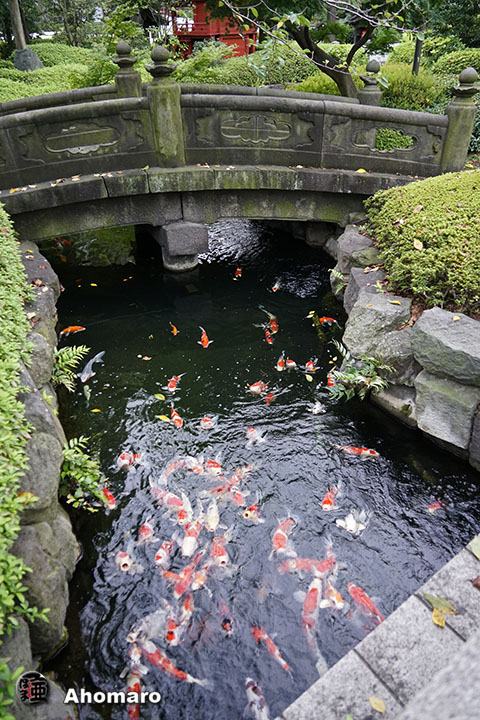 写真00